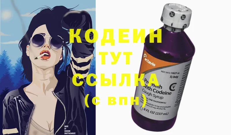 Кодеин Purple Drank  блэк спрут как войти  Новомосковск  как найти  