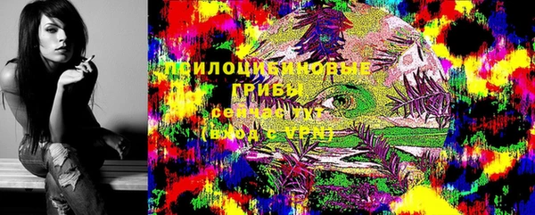 мяу мяу мука Бородино